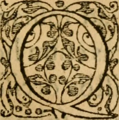 An illustration from In librum Iosue breuis commentarius, quem paulò ante mortem absoluit : addita sunt quaedam de eiusdem morbo & obitu, 1564, leaf 200