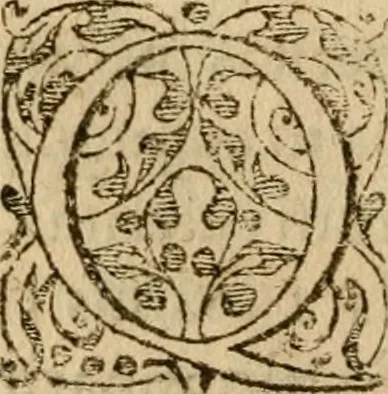 An illustration from In librum Iosue breuis commentarius, quem paulò ante mortem absoluit : addita sunt quaedam de eiusdem morbo & obitu, 1564, leaf 219