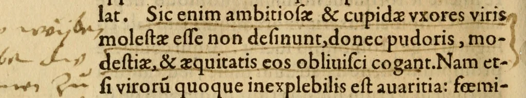 An illustration from In librum Iosue breuis commentarius, quem paulò ante mortem absoluit : addita sunt quaedam de eiusdem morbo & obitu, 1564, leaf 255
