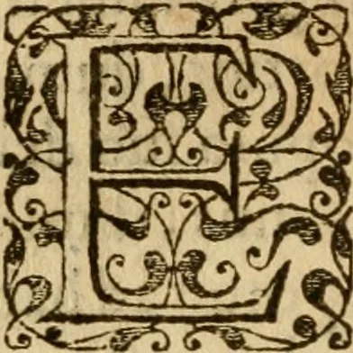 An illustration from In librum Iosue breuis commentarius, quem paulò ante mortem absoluit : addita sunt quaedam de eiusdem morbo & obitu, 1564, leaf 257