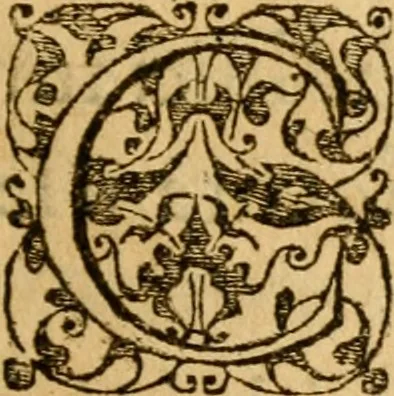 An illustration from In librum Iosue breuis commentarius, quem paulò ante mortem absoluit : addita sunt quaedam de eiusdem morbo & obitu, 1564, leaf 270