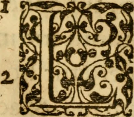 An illustration from In librum Iosue breuis commentarius, quem paulò ante mortem absoluit : addita sunt quaedam de eiusdem morbo & obitu, 1564, leaf 292