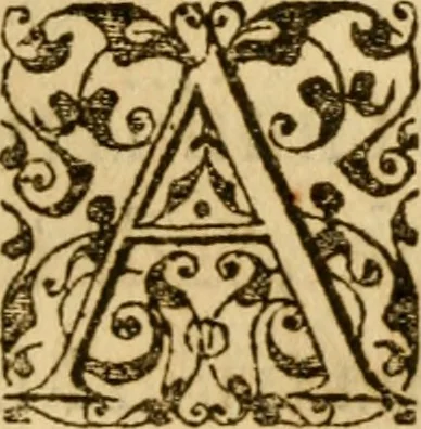 An illustration from In librum Iosue breuis commentarius, quem paulò ante mortem absoluit : addita sunt quaedam de eiusdem morbo & obitu, 1564, leaf 296