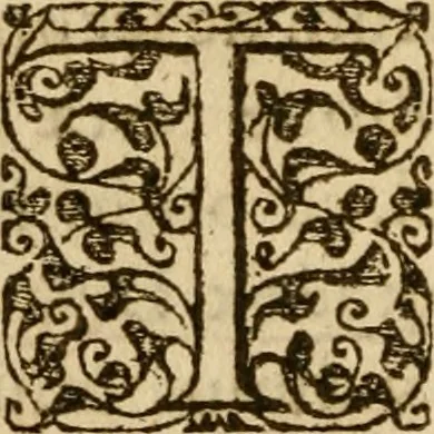 An illustration from In librum Iosue breuis commentarius, quem paulò ante mortem absoluit : addita sunt quaedam de eiusdem morbo & obitu, 1564, leaf 307