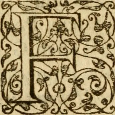 An illustration from In librum Iosue breuis commentarius, quem paulò ante mortem absoluit : addita sunt quaedam de eiusdem morbo & obitu, 1564, leaf 325
