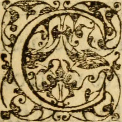 An illustration from In librum Iosue breuis commentarius, quem paulò ante mortem absoluit : addita sunt quaedam de eiusdem morbo & obitu, 1564, leaf 334