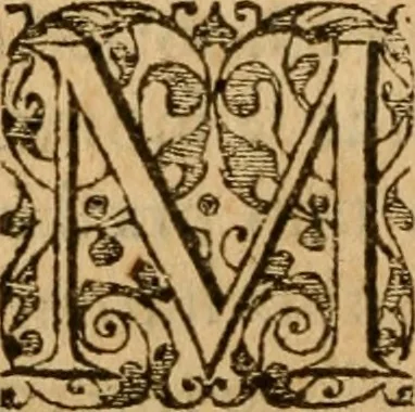 An illustration from In librum Iosue breuis commentarius, quem paulò ante mortem absoluit : addita sunt quaedam de eiusdem morbo & obitu, 1564, leaf 51