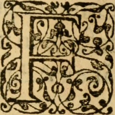 An illustration from In librum Iosue breuis commentarius, quem paulò ante mortem absoluit : addita sunt quaedam de eiusdem morbo & obitu, 1564, leaf 94