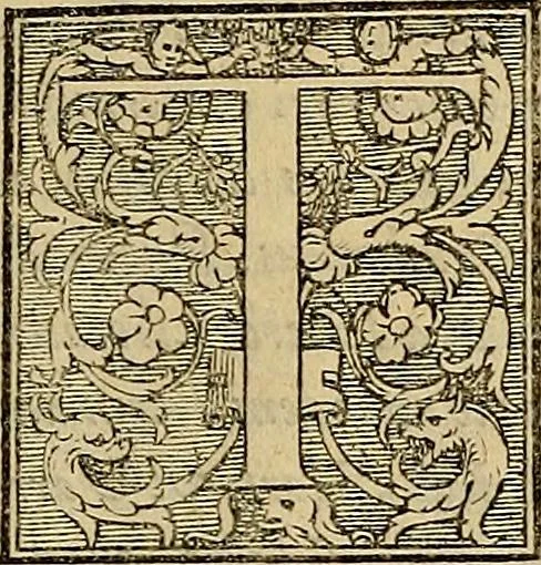 An illustration from Inlvstrivm viror vt extant in vrbe expressi vvltvs, 1569, leaf 10