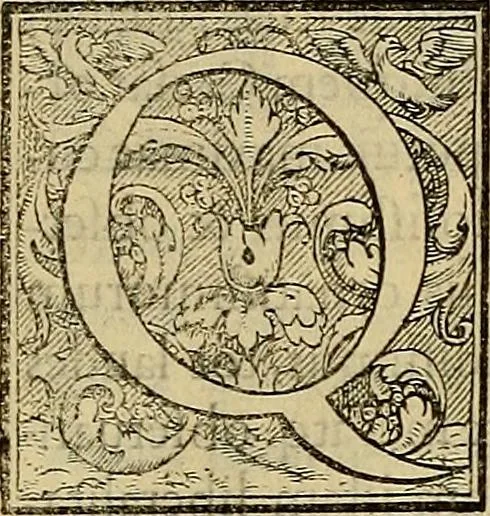 An illustration from Inlvstrivm viror vt extant in vrbe expressi vvltvs, 1569, leaf 8