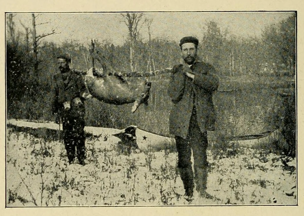 An illustration from In the Maine woods, 1904, leaf 148