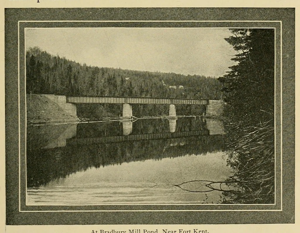 An illustration from In the Maine woods, 1904, leaf 35