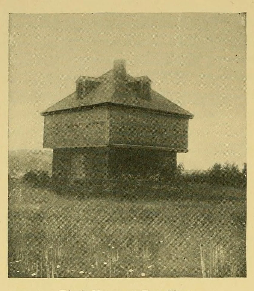 An illustration from In the Maine woods, 1905, leaf 122