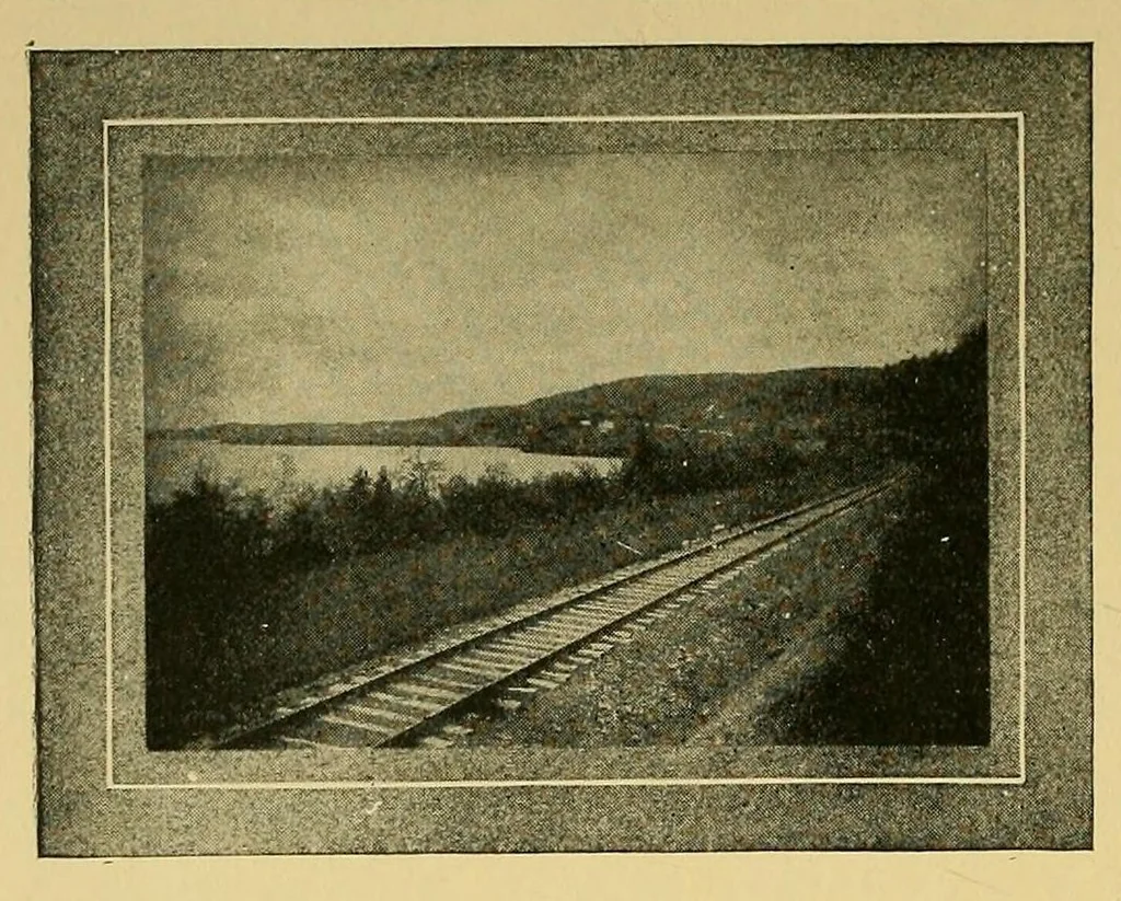 An illustration from In the Maine woods, 1905, leaf 194
