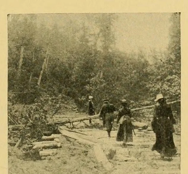 An illustration from In the Maine woods, 1905, leaf 73