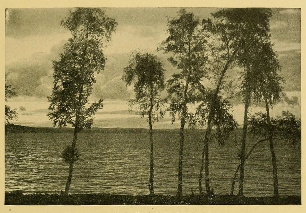 An illustration from In the Maine woods, 1905, leaf 97
