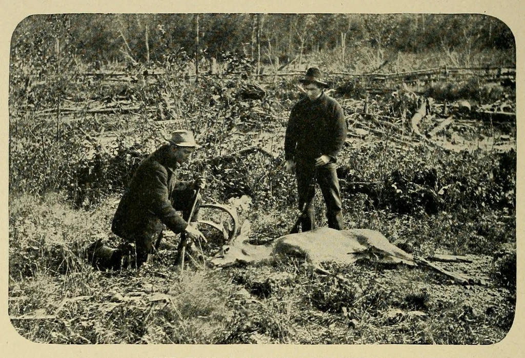 An illustration from In the Maine woods, 1908, leaf 130