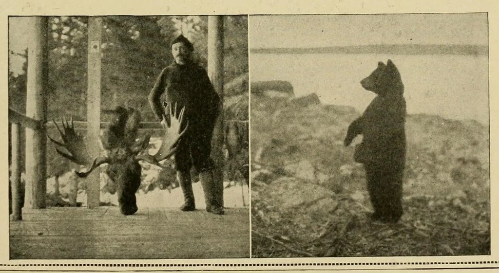 An illustration from In the Maine woods, 1908, leaf 155