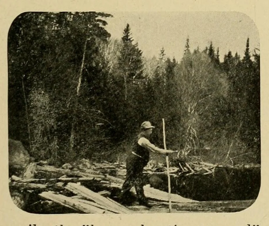 An illustration from In the Maine woods, 1908, leaf 63