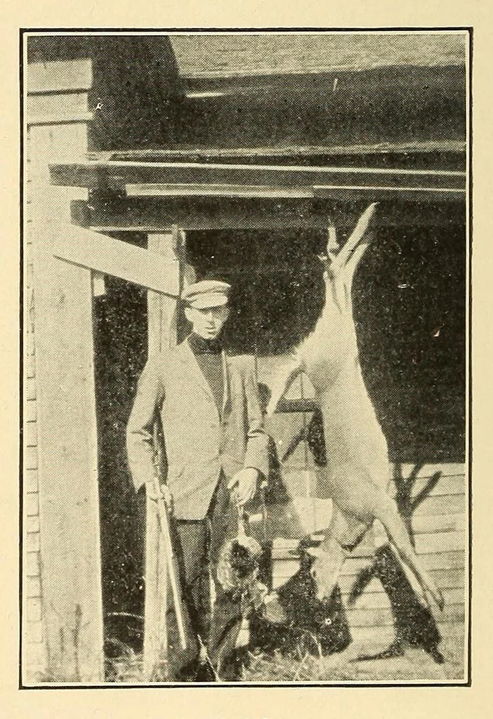 An illustration from In the Maine woods, 1909, leaf 114