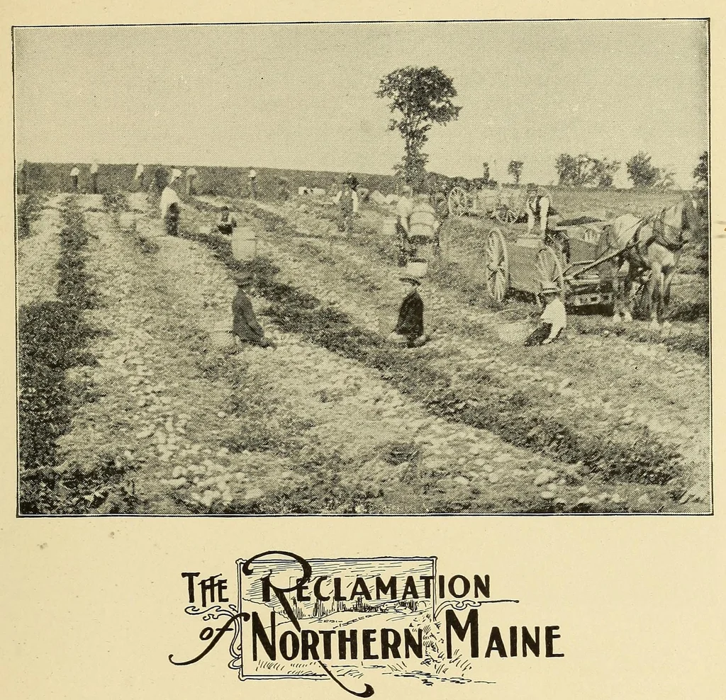 An illustration from In the Maine woods, 1909, leaf 99