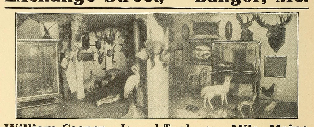 An illustration from In the Maine woods, 1910, leaf 154