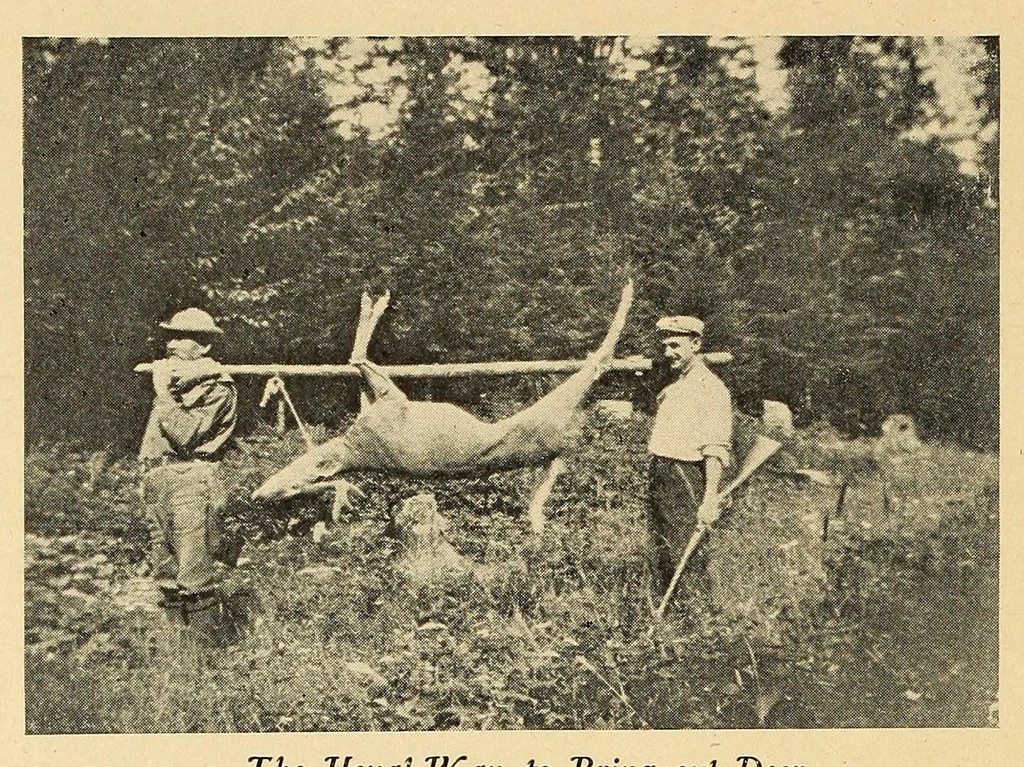An illustration from In the Maine woods, 1910, leaf 50