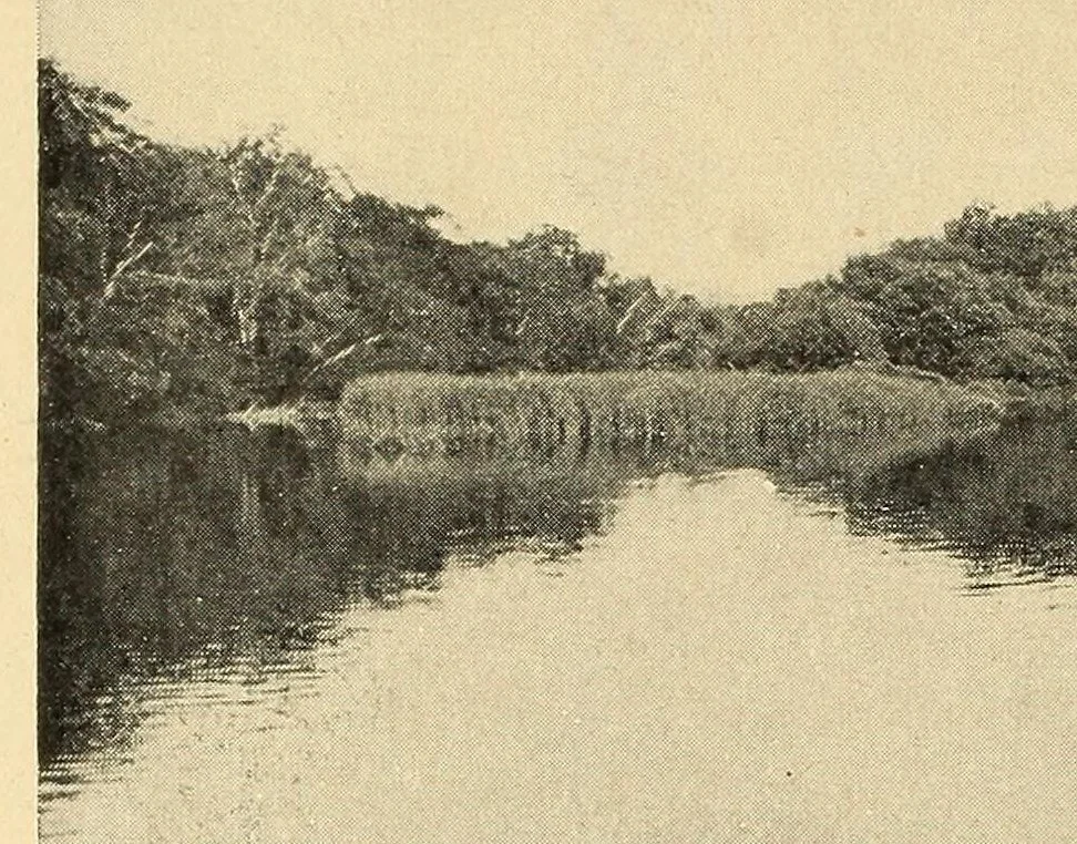 An illustration from In the Maine woods, 1910, leaf 84
