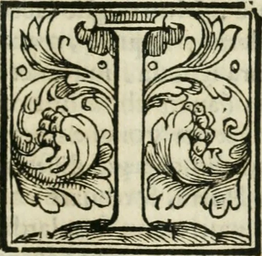 An illustration from Dispareri in materia d'architettvra, et perspettiva : con pareri di eccellenti, et famosi architetti, che li risoluono, 1572, leaf 22