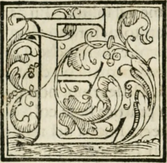 An illustration from Dispareri in materia d'architettvra, et perspettiva : con pareri di eccellenti, et famosi architetti, che li risoluono, 1572, leaf 25