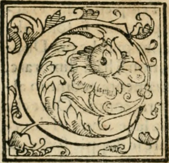An illustration from Dispareri in materia d'architettvra, et perspettiva : con pareri di eccellenti, et famosi architetti, che li risoluono, 1572, leaf 31