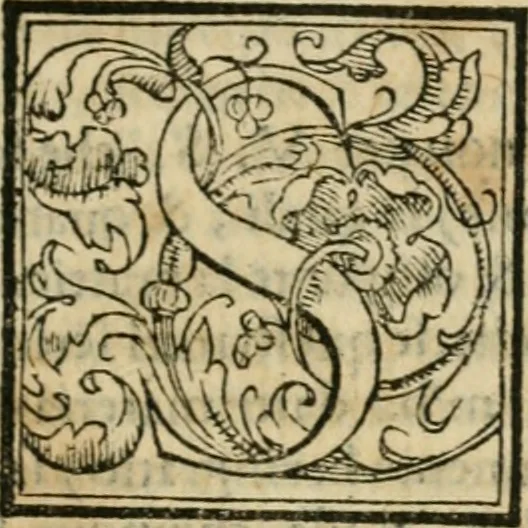 An illustration from Dispareri in materia d'architettvra, et perspettiva : con pareri di eccellenti, et famosi architetti, che li risoluono, 1572, leaf 32