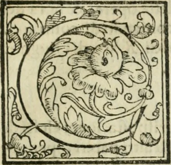 An illustration from Dispareri in materia d'architettvra, et perspettiva : con pareri di eccellenti, et famosi architetti, che li risoluono, 1572, leaf 38