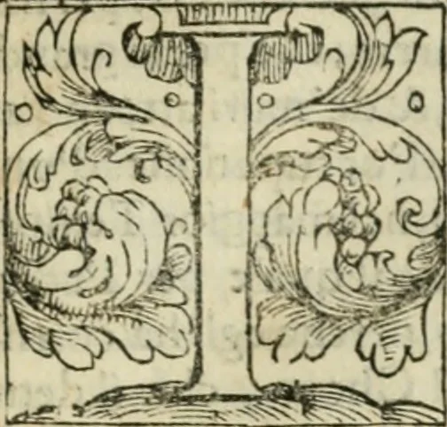 An illustration from Dispareri in materia d'architettvra, et perspettiva : con pareri di eccellenti, et famosi architetti, che li risoluono, 1572, leaf 44