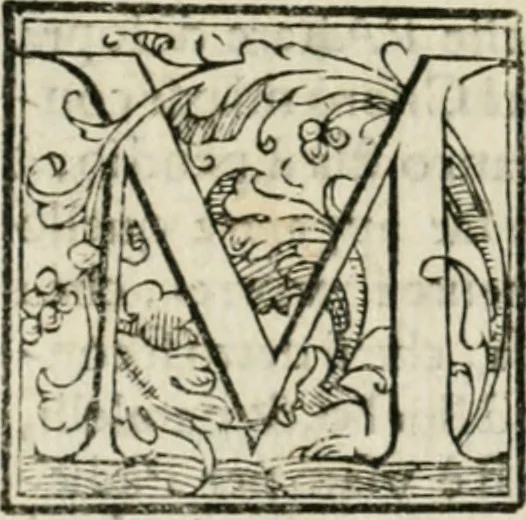 An illustration from Dispareri in materia d'architettvra, et perspettiva : con pareri di eccellenti, et famosi architetti, che li risoluono, 1572, leaf 45