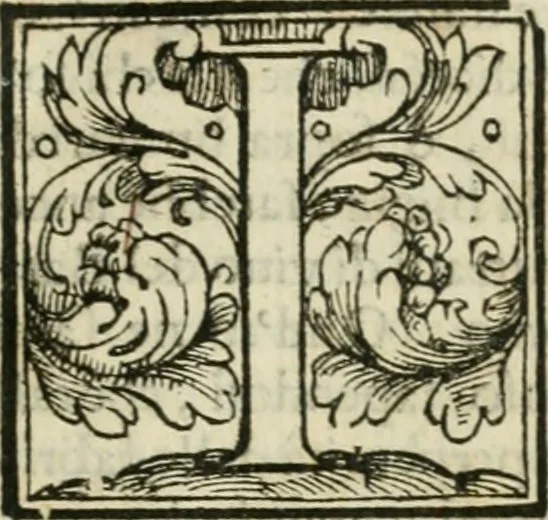 An illustration from Dispareri in materia d'architettvra, et perspettiva : con pareri di eccellenti, et famosi architetti, che li risoluono, 1572, leaf 54