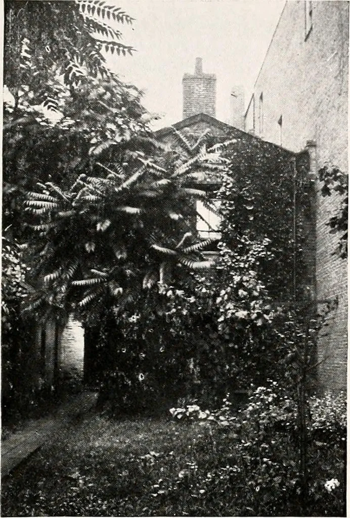 An illustration from In memoriam, Edwin McMasters Stanton, his life and work : with account of dedication of bronze statue in his native city, 1911, leaf 32