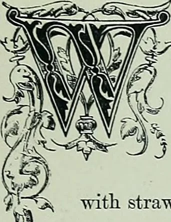 An illustration from The arts in the middle ages, and at the period of the Renaissance, 1875, leaf 30