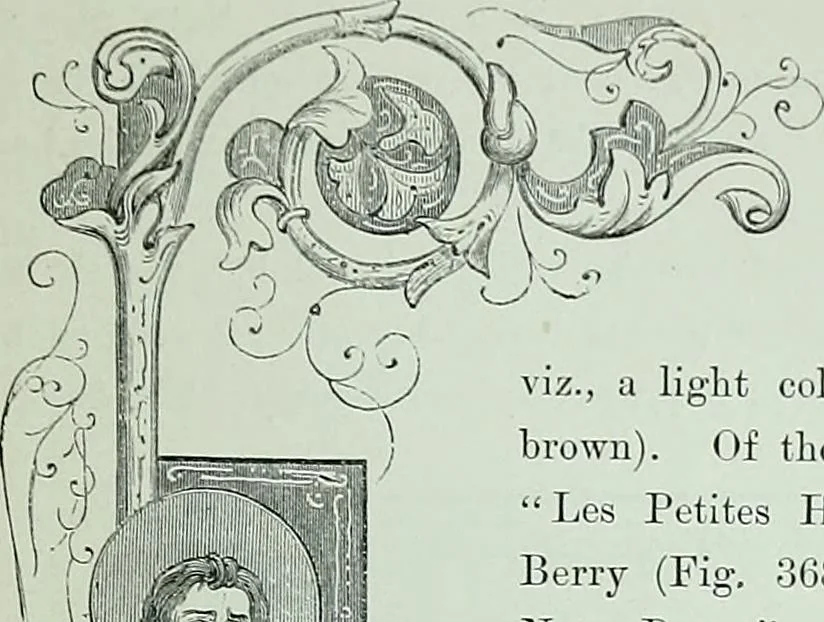 An illustration from The arts in the middle ages, and at the period of the Renaissance, 1875, leaf 532
