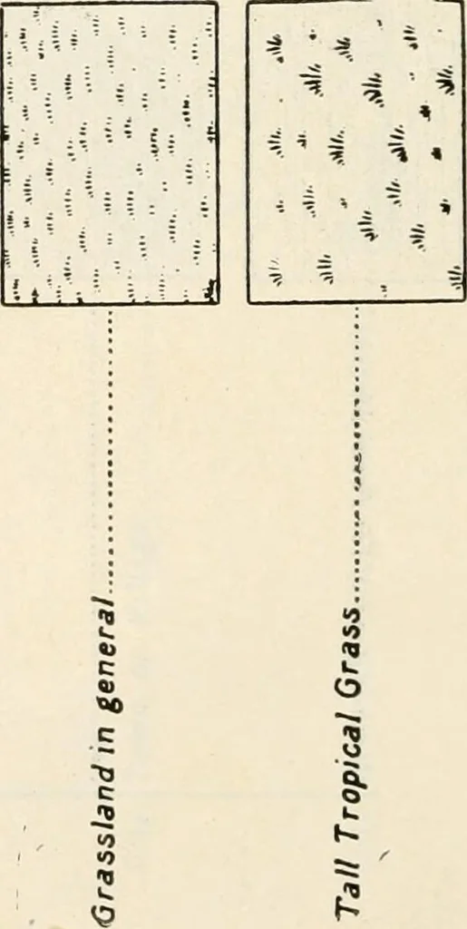An illustration from Military sketching and map reading; including panoramic sketching and aerial photography, 1921, leaf 27
