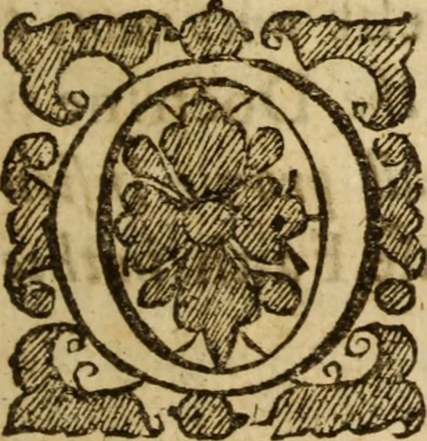 An illustration from The humbled sinner resolved what hee should do to bee saved : or, faith in the Lord Jesus Christ, the only way of salvation for sensible sinners .., 1660, leaf 8