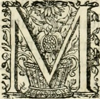 An illustration from Innocentia vindicata : in qua gravissimis argumentis ex S. Thoma petitis ostenditur, angelicum doctorem pro Immaculato Conceptu Deiparae sensisse & scripsisse ..., 1695, leaf 101