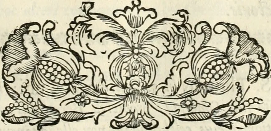 An illustration from Innocentia vindicata : in qua gravissimis argumentis ex S. Thoma petitis ostenditur, angelicum doctorem pro Immaculato Conceptu Deiparae sensisse & scripsisse ..., 1695, leaf 116