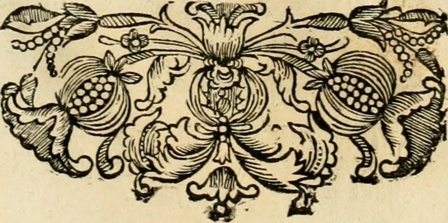 An illustration from Innocentia vindicata : in qua gravissimis argumentis ex S. Thoma petitis ostenditur, angelicum doctorem pro Immaculato Conceptu Deiparae sensisse & scripsisse ..., 1695, leaf 135