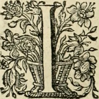 An illustration from Innocentia vindicata : in qua gravissimis argumentis ex S. Thoma petitis ostenditur, angelicum doctorem pro Immaculato Conceptu Deiparae sensisse & scripsisse ..., 1695, leaf 137