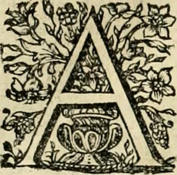An illustration from Innocentia vindicata : in qua gravissimis argumentis ex S. Thoma petitis ostenditur, angelicum doctorem pro Immaculato Conceptu Deiparae sensisse & scripsisse ..., 1695, leaf 139