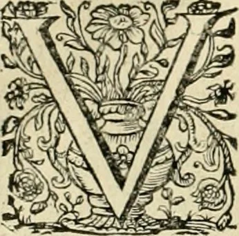 An illustration from Innocentia vindicata : in qua gravissimis argumentis ex S. Thoma petitis ostenditur, angelicum doctorem pro Immaculato Conceptu Deiparae sensisse & scripsisse ..., 1695, leaf 141