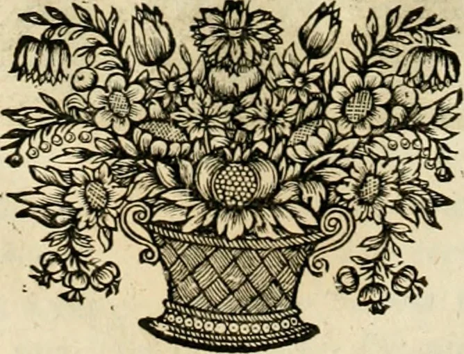 An illustration from Innocentia vindicata : in qua gravissimis argumentis ex S. Thoma petitis ostenditur, angelicum doctorem pro Immaculato Conceptu Deiparae sensisse & scripsisse ..., 1695, leaf 145