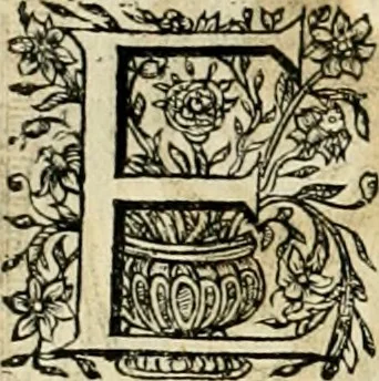 An illustration from Innocentia vindicata : in qua gravissimis argumentis ex S. Thoma petitis ostenditur, angelicum doctorem pro Immaculato Conceptu Deiparae sensisse & scripsisse ..., 1695, leaf 147