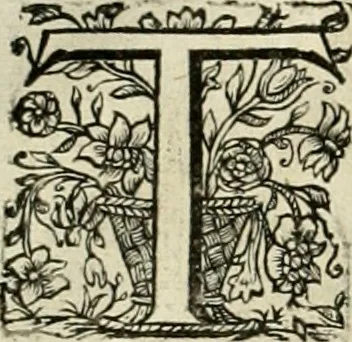 An illustration from Innocentia vindicata : in qua gravissimis argumentis ex S. Thoma petitis ostenditur, angelicum doctorem pro Immaculato Conceptu Deiparae sensisse & scripsisse ..., 1695, leaf 149